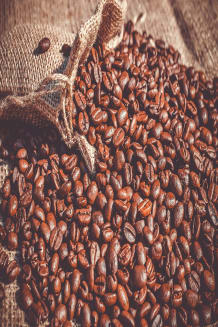 Single Origin Coffee Beans